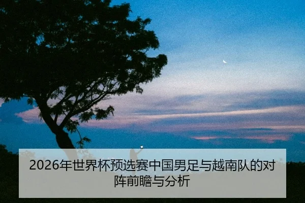 nian-shi-jie-bei-yu-xuan-sai-zhong-guo-nan-zu-yu-yue-nan-dui-de-dui-zhen-qian-zhan-yu-fen-xi-2-602.jpg