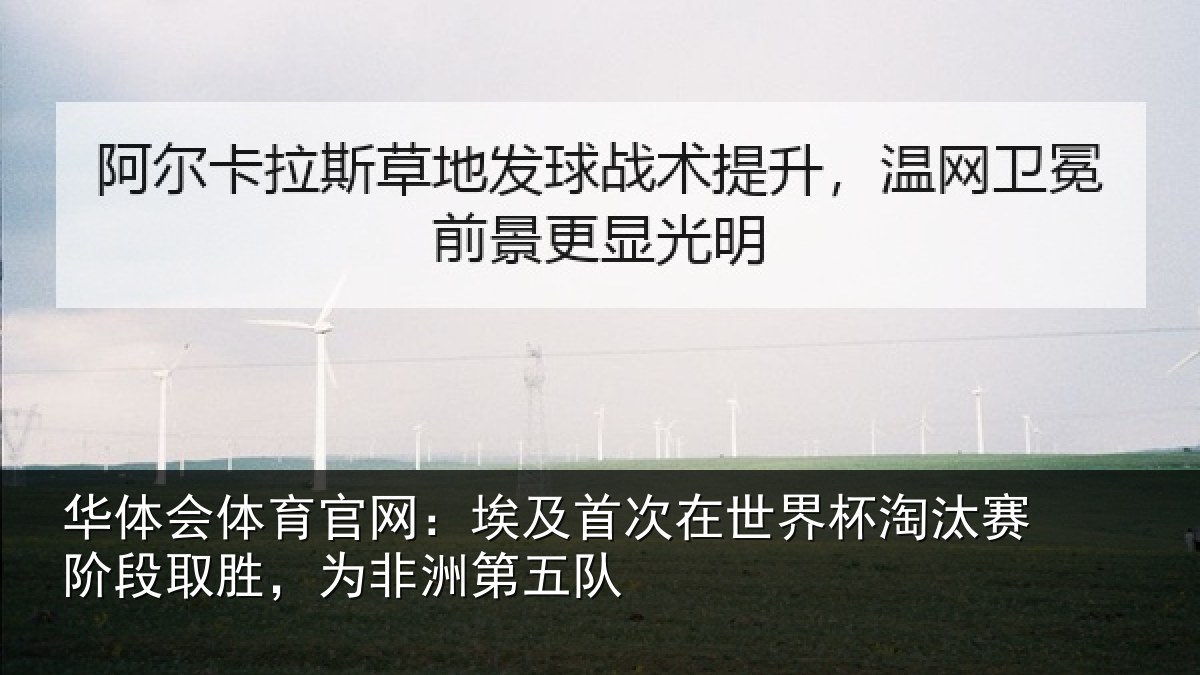 华体会体育官网:埃及相关情况赛阶相关情况队