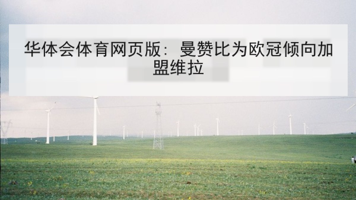 华体会体育网页版: 曼赞比为欧冠倾向加盟维拉