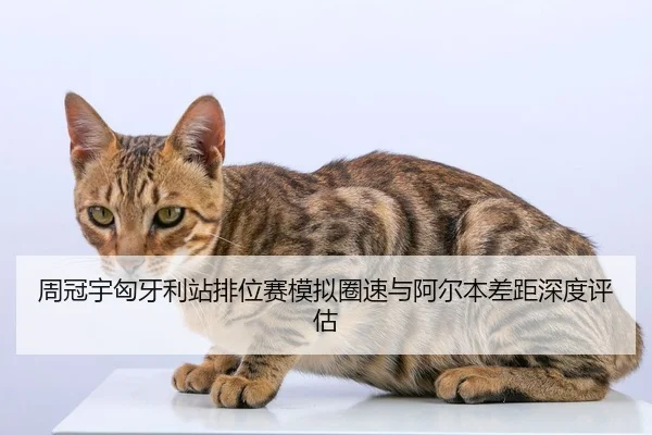 zhou-guan-yu-xiong-ya-li-zhan-pai-wei-sai-mo-ni-quan-su-yu-a-er-ben-cha-ju-shen-du-ping-gu-2-892.jpg