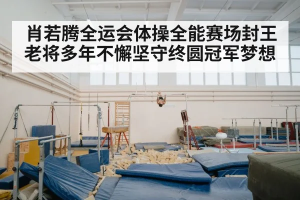 肖若腾全运会体操全能赛场封王老将多年不懈坚守终圆冠军梦想